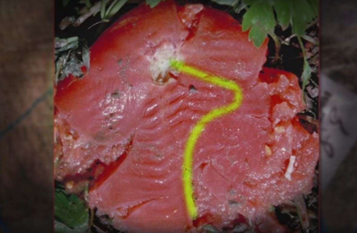 Hé lộ hung thủ vụ giết người ảnh 1 He lo hung thu vu giet nguoi anh 1