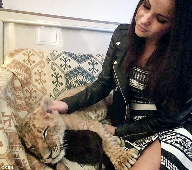 Soi nu pho Wall anh 5