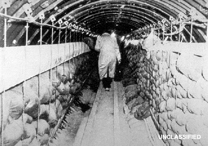 Duong ham Berlin,  Chien tranh lanh anh 10