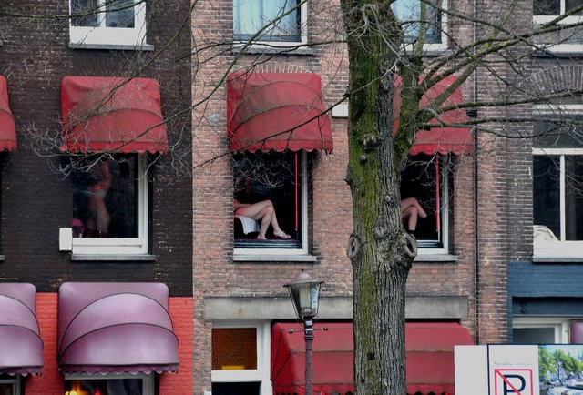 Bao tang mai dam o Amsterdam anh 6