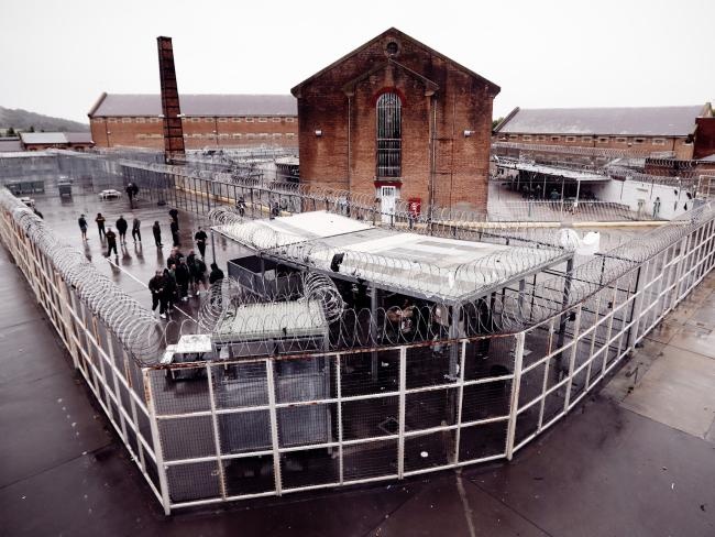 Noi den toi cua nhung toi pham nguy hiem o xu so chuot tui hinh anh