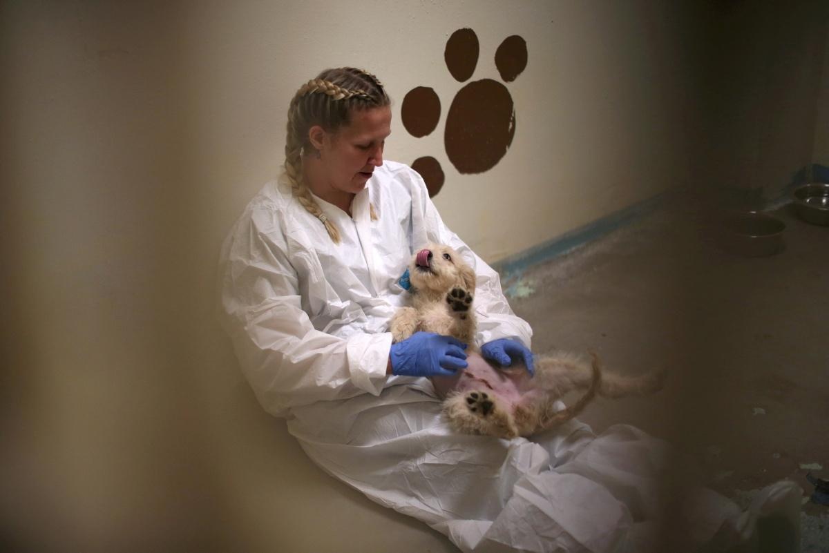 Nuoi thu cung trong nha tu anh 13