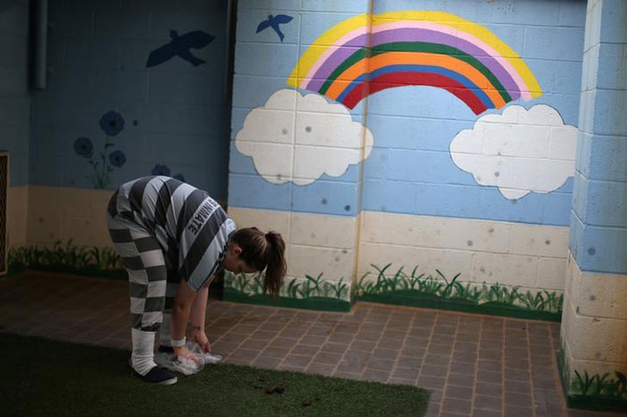 Nuoi thu cung trong nha tu anh 12