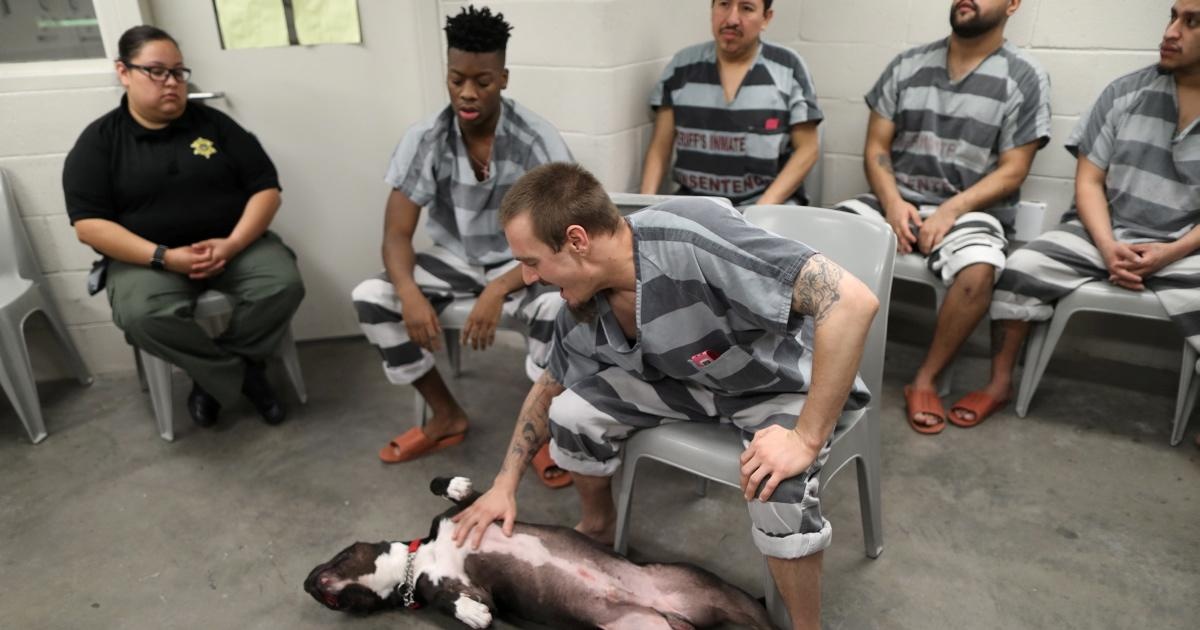 Nuoi thu cung trong nha tu anh 9