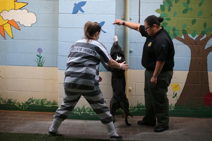 Nuoi thu cung trong nha tu anh 10