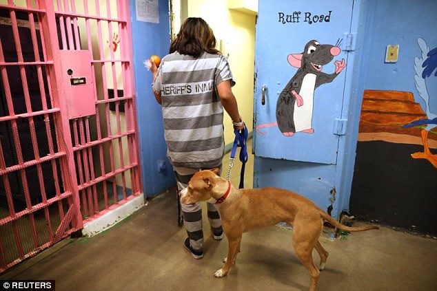 Pham nhan o Arizona vui dua cung thu cung hinh anh