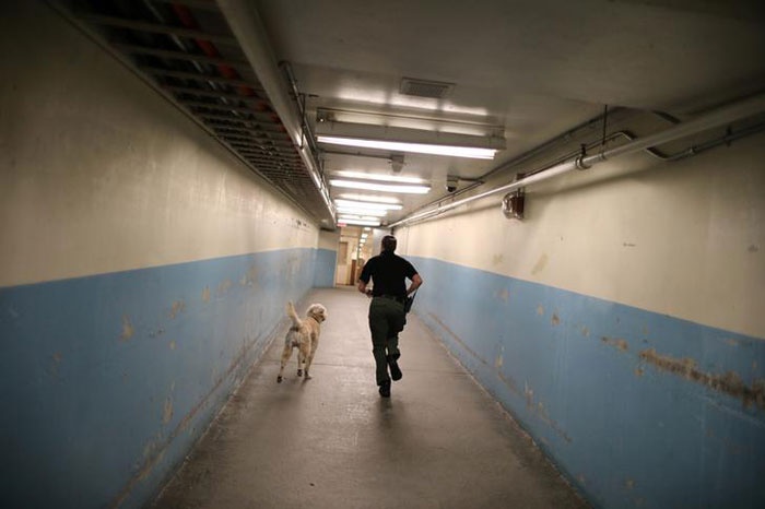 Nuoi thu cung trong nha tu anh 15