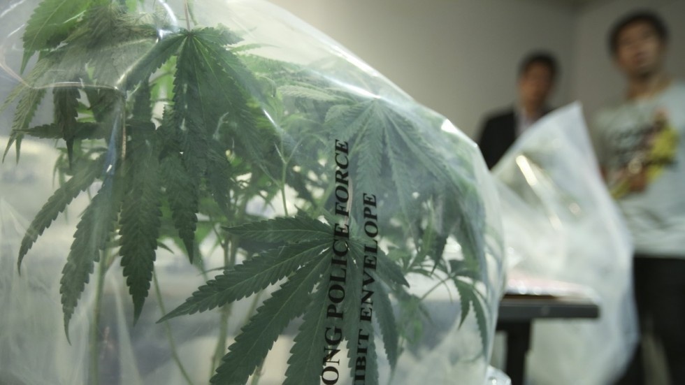 Trong can sa o Hong Kong anh 1