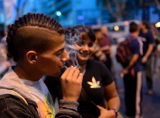 Hut can sa duoc hop phap hoa tai Uruguay hinh anh