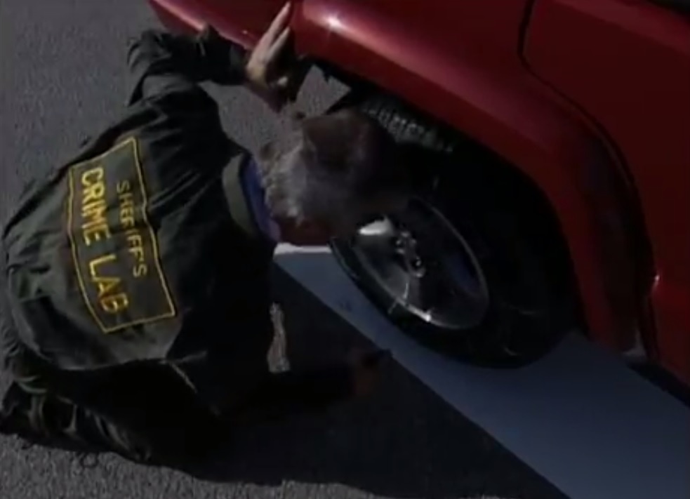 Vu am sat nguoi mau chan dong Hollywood anh 8