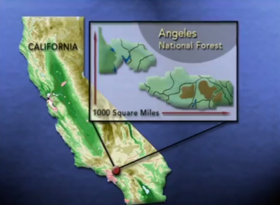 Vu am sat nguoi mau chan dong Hollywood anh 4