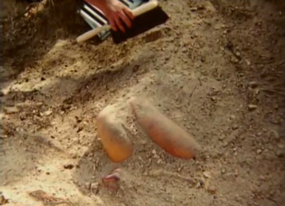 Vụ ám sát người mẫu ảnh 2 Vu am sat nguoi mau anh 2