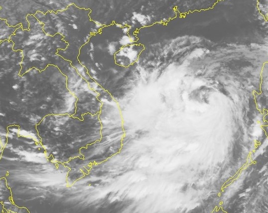 con bao so 10 tien vao dat lien anh 2