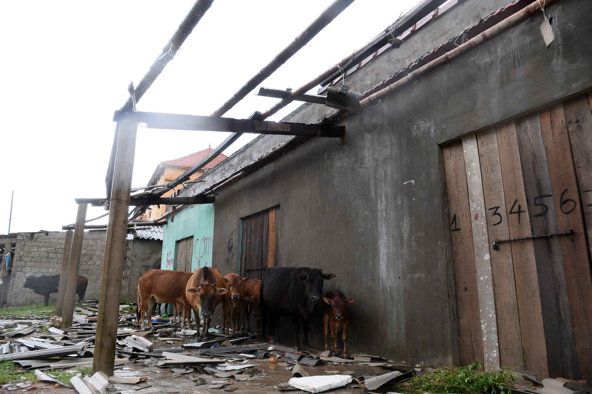 Thiet hai sau bao so 10 anh 11