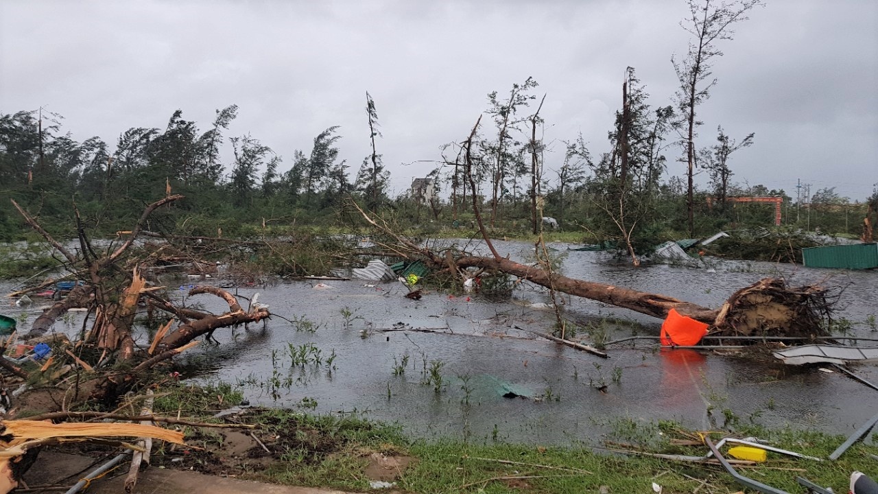 Thiet hai sau bao so 10 anh 15