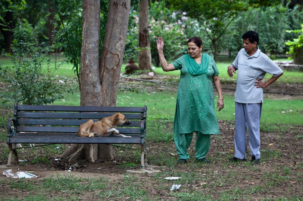 bat giu cho tha rong anh 3