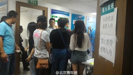 bat giu cho tha rong anh 8