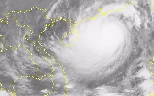 Bao so 11 dang vao giai doan manh nhat hinh anh