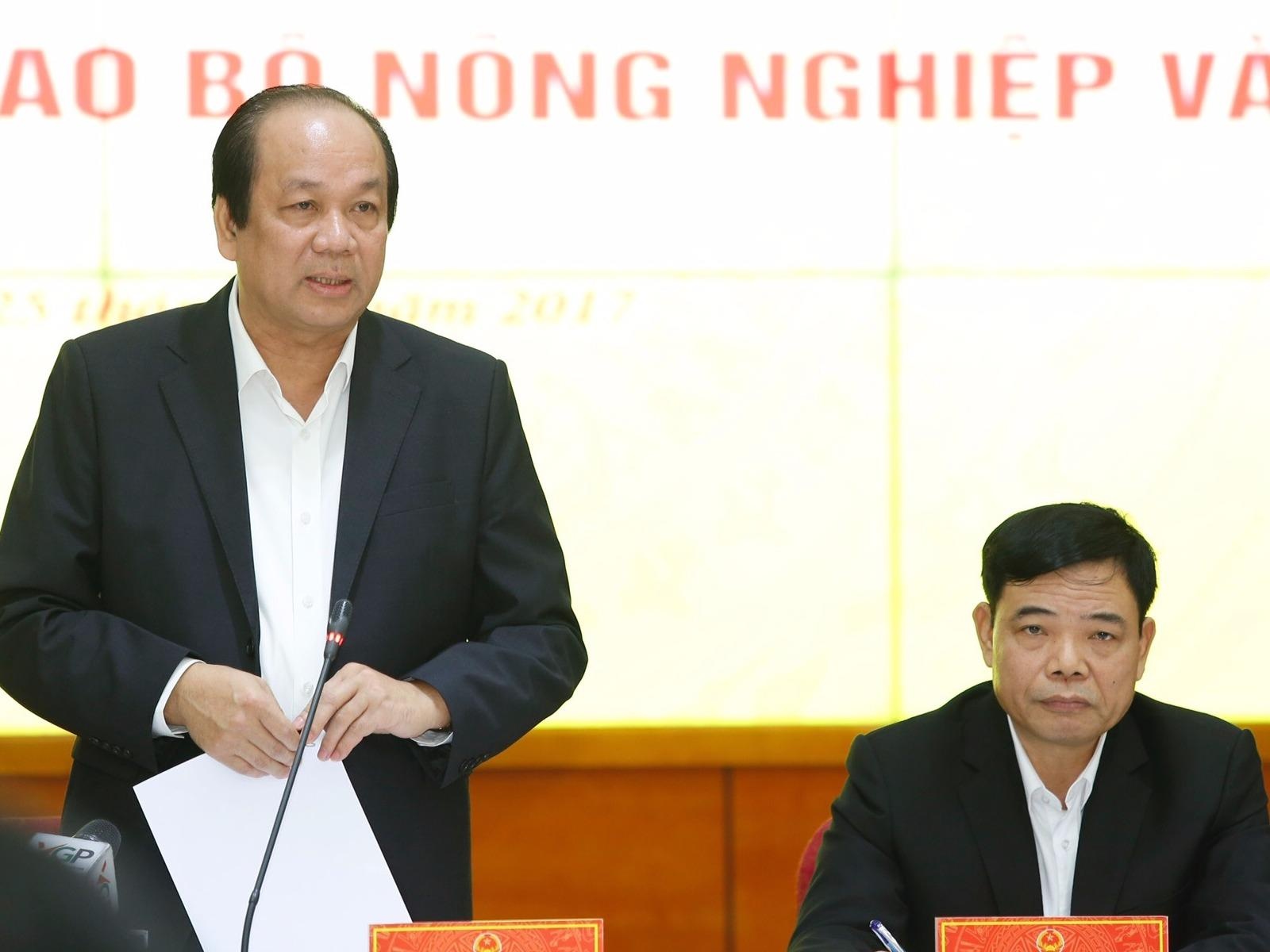 Gan 60% mat hang 'cong' thu tuc quan ly cua 2-3 bo tro len hinh anh