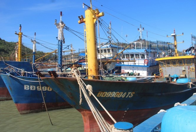 Vu tau ca vo thep bi hu hong hang loat: Ky luat 6 can bo hinh anh