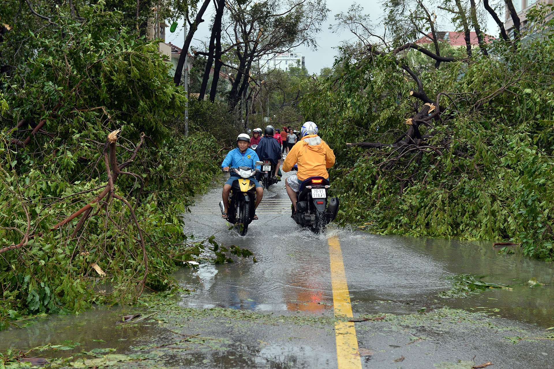 Thiet hai sau bao so 12 anh 1