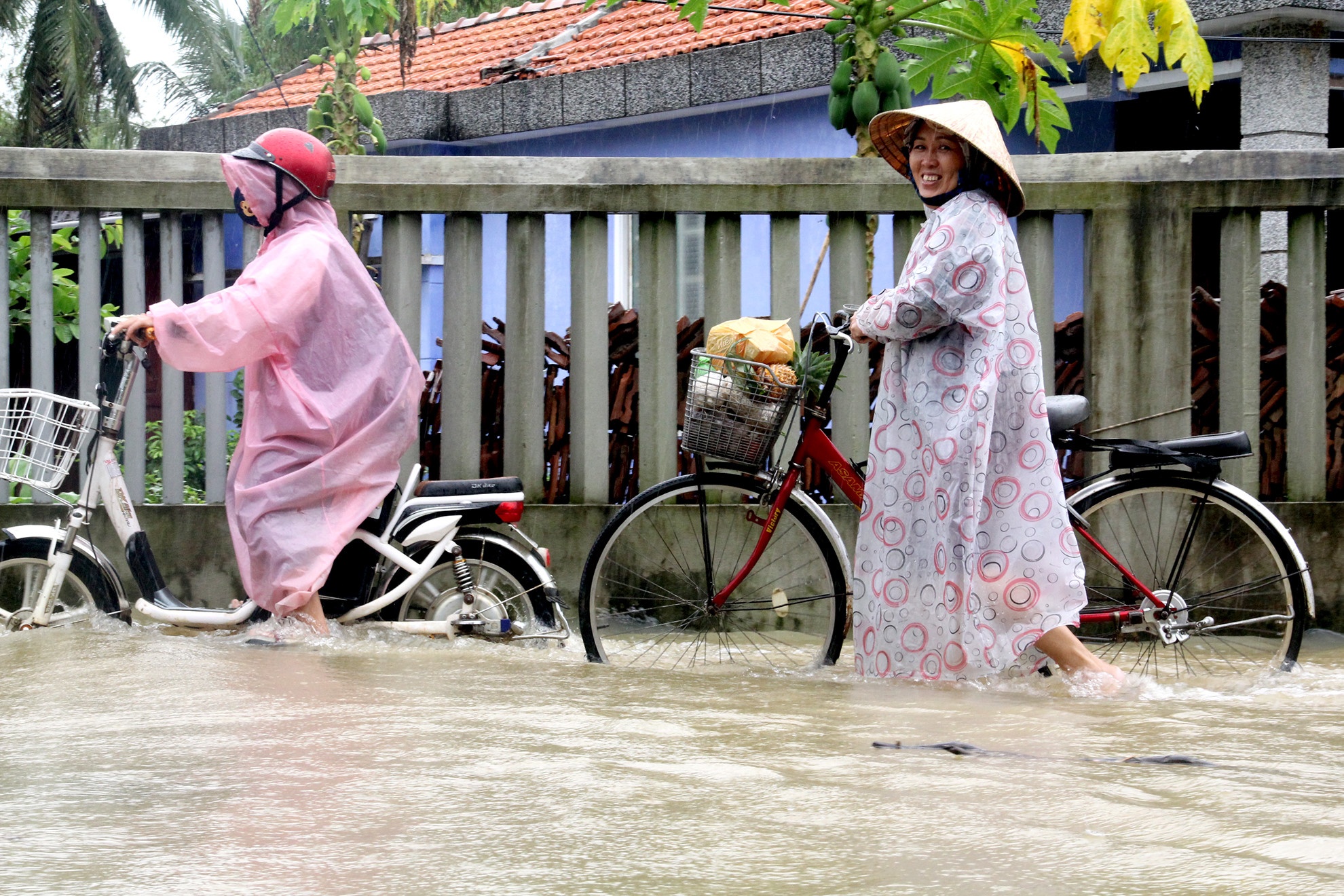 Cảnh báo lũ trên các sông ảnh 1 Canh bao lu tren cac song anh 1