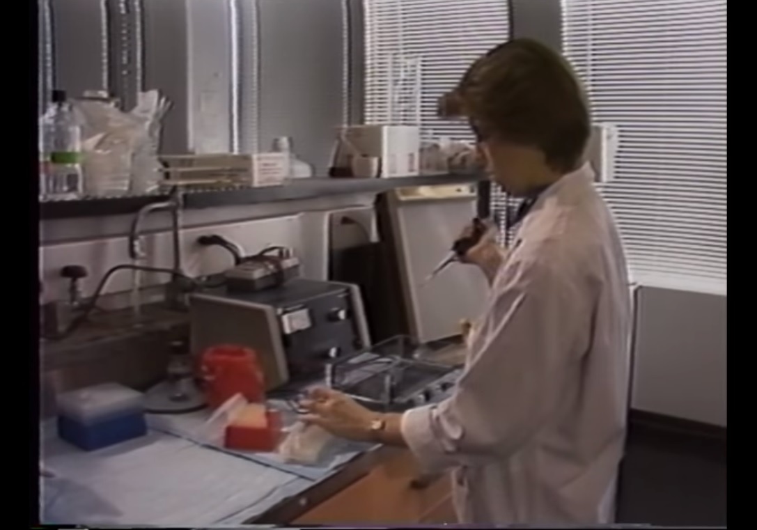 Lần manh mối sát thủ ảnh 12 Lan manh moi sat thu anh 12