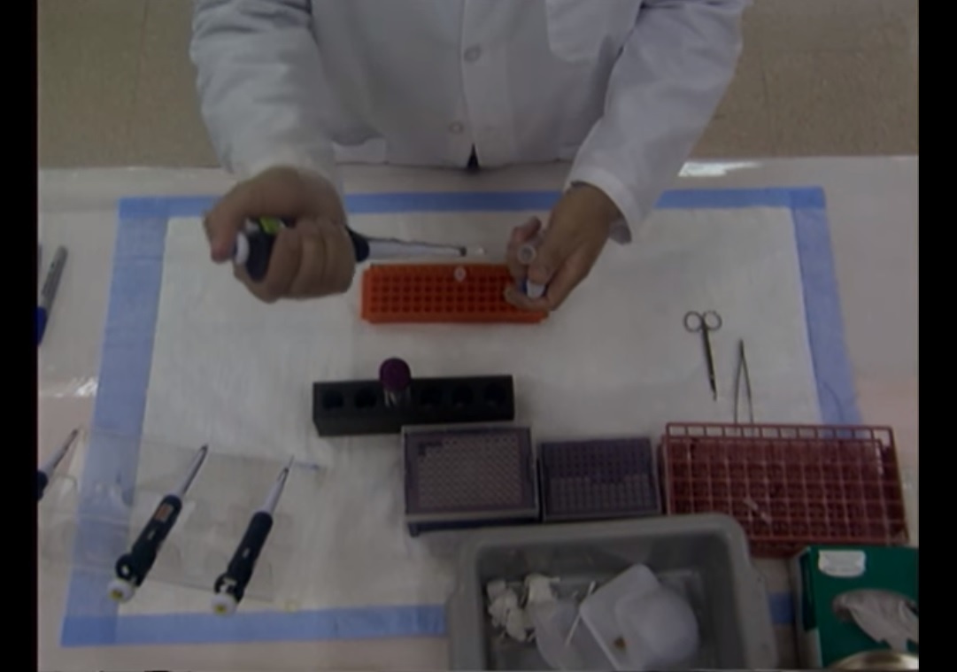 Quy trinh xac dinh ADN cua nan nhan Tracy Jo Shine hinh anh