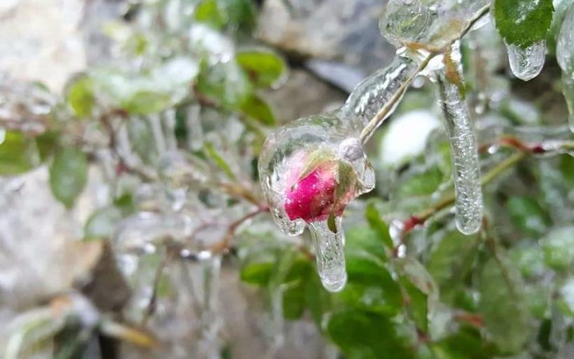 Khong khi lanh lien tuc tang cuong, Fansipan co the xuat hien bang gia hinh anh