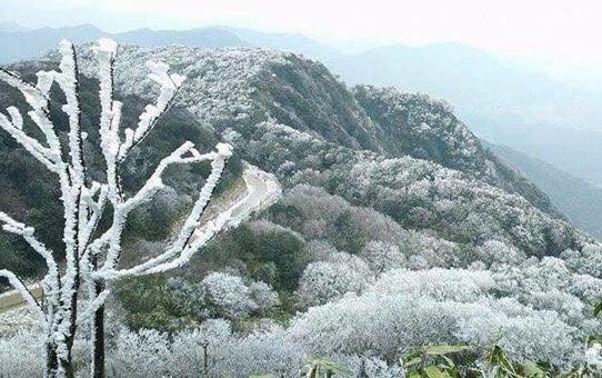 Nhiet do xuong 1 do C, dinh nui Phia Oac co bang gia phu kin hinh anh