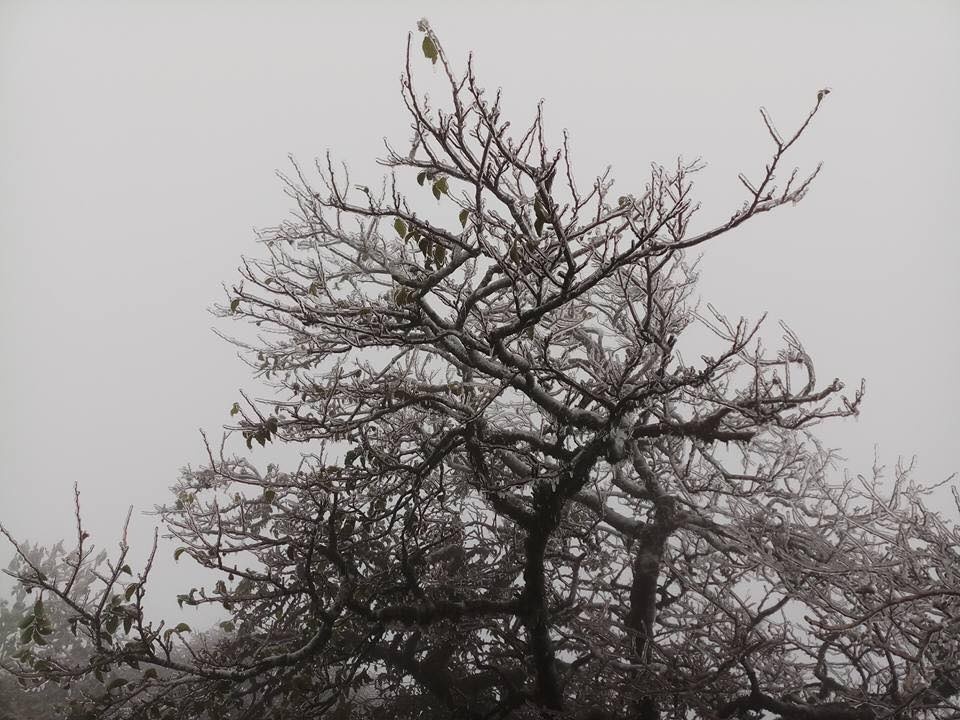 Đỉnh núi Cao Bằng có băng giá ảnh 3 Dinh nui Cao Bang co bang gia anh 3