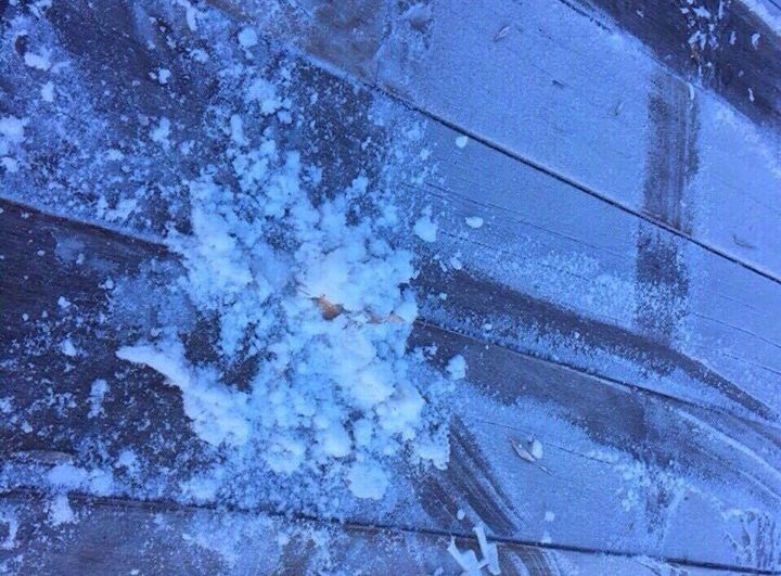 Fansipan có băng giá ảnh 3 Fansipan co bang gia anh 3