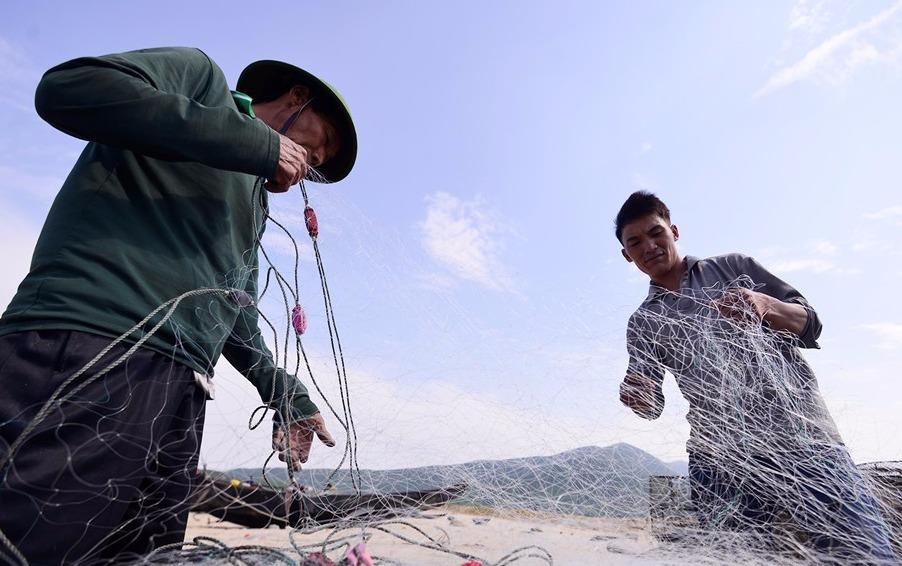 Thu tuong duyet chi ho tro 4 tinh mien Trung hinh anh