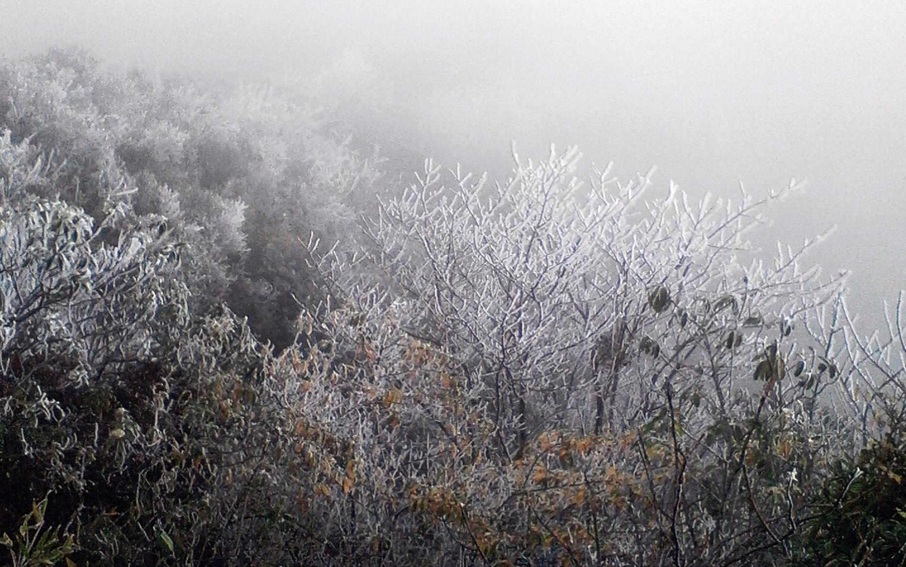 Khong khi lanh tang cuong, mien Bac ret dam toi gan Noel hinh anh