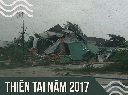 Khi me thien nhien giuong cao 'chiec roi tu than' hinh anh