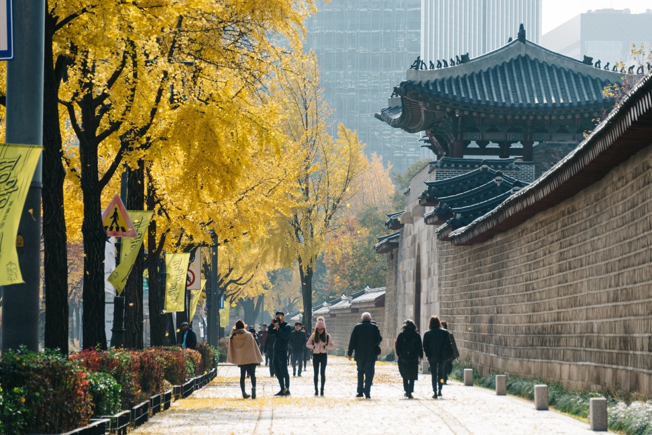 cay xanh o cac do thi lon anh 5