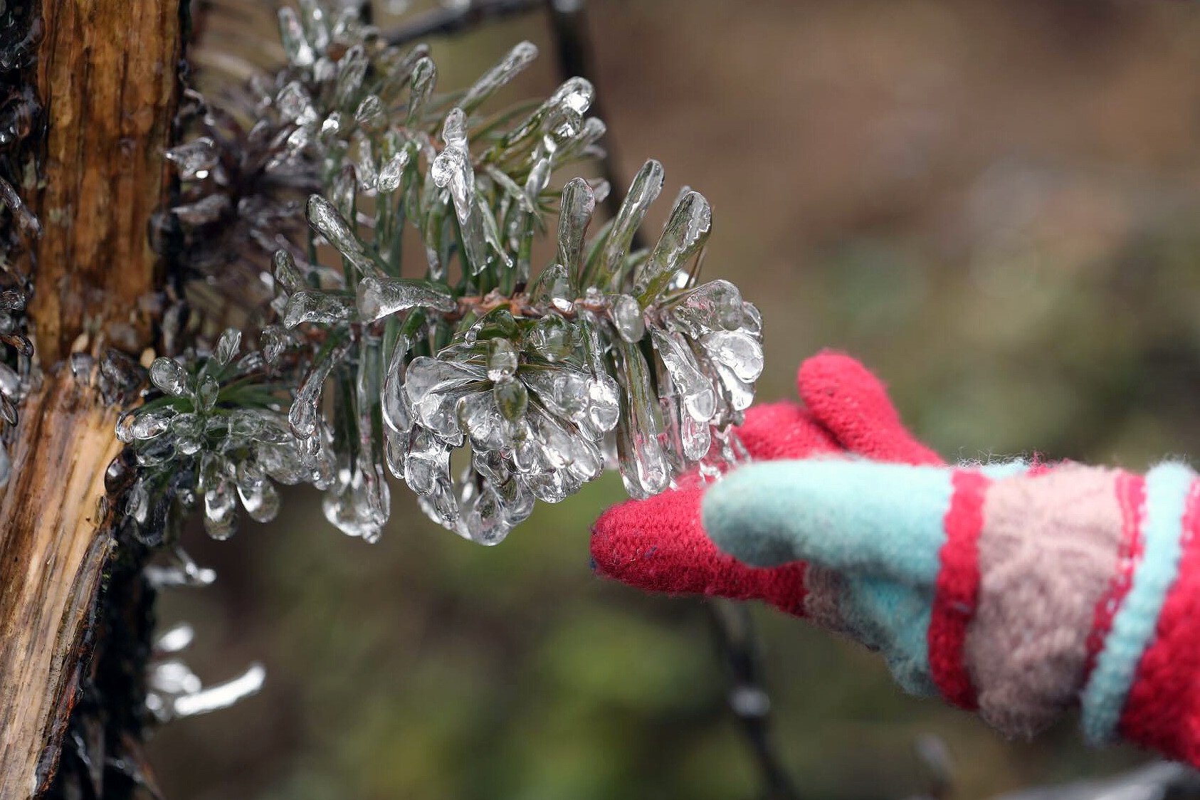 Mien Bac ret dam, ret hai dai ngay, vung nui cao xuat hien bang gia hinh anh