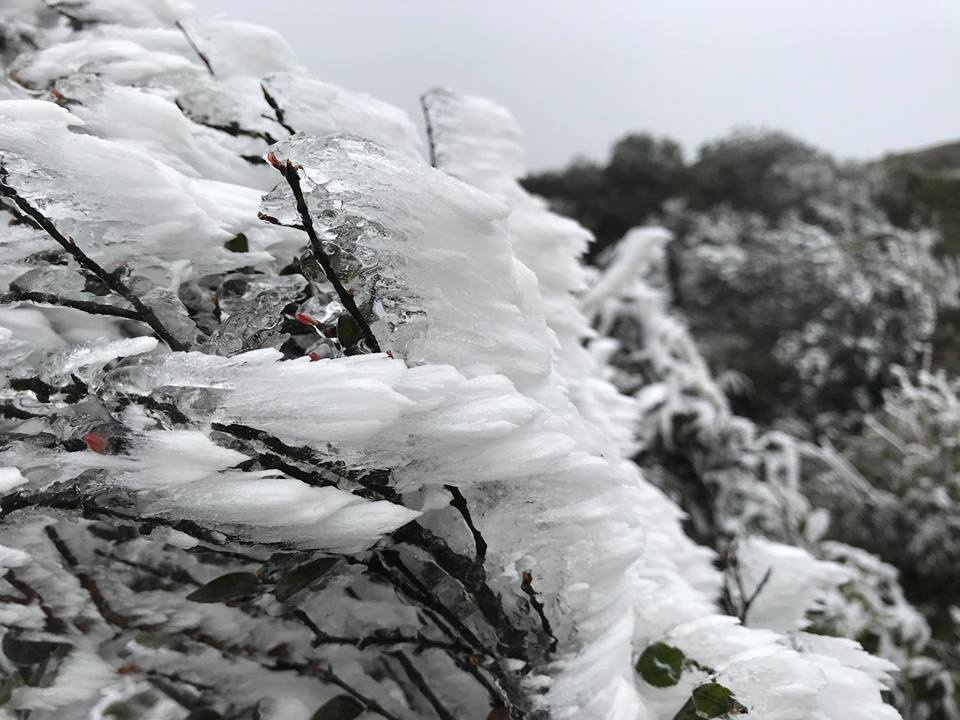 Mien Bac lien tuc giam nhiet, Mau Son bang gia bao phu hinh anh