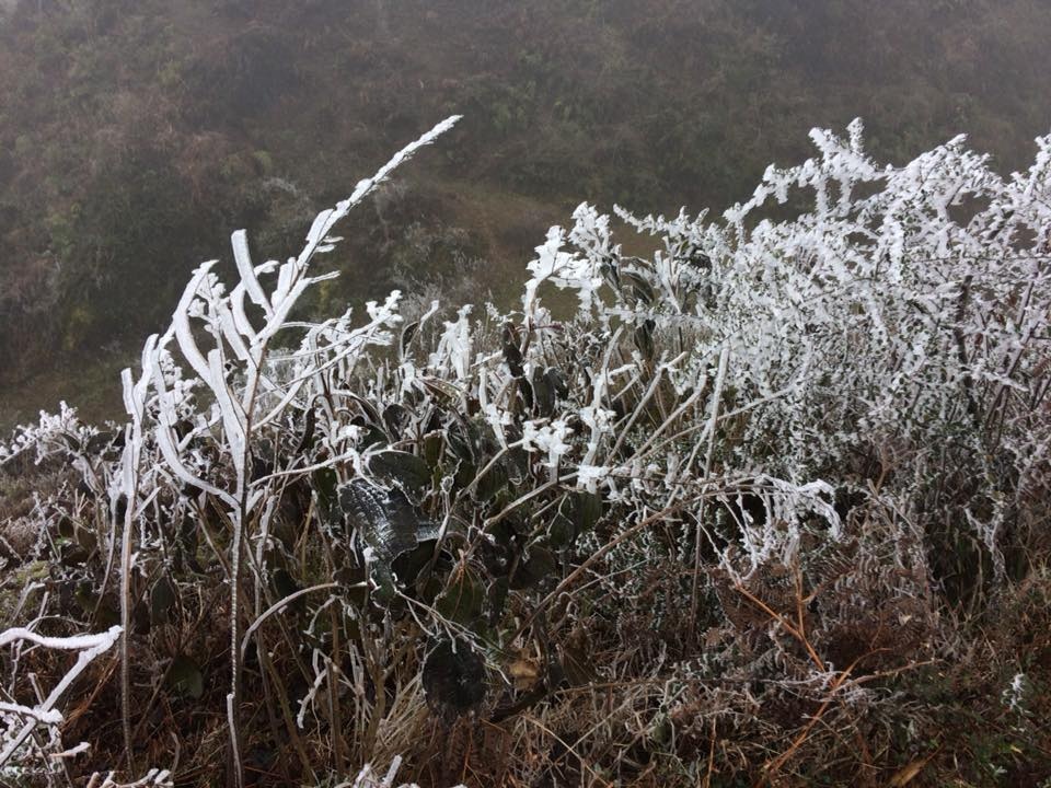 Bang gia bao phu Bac Bo anh 4