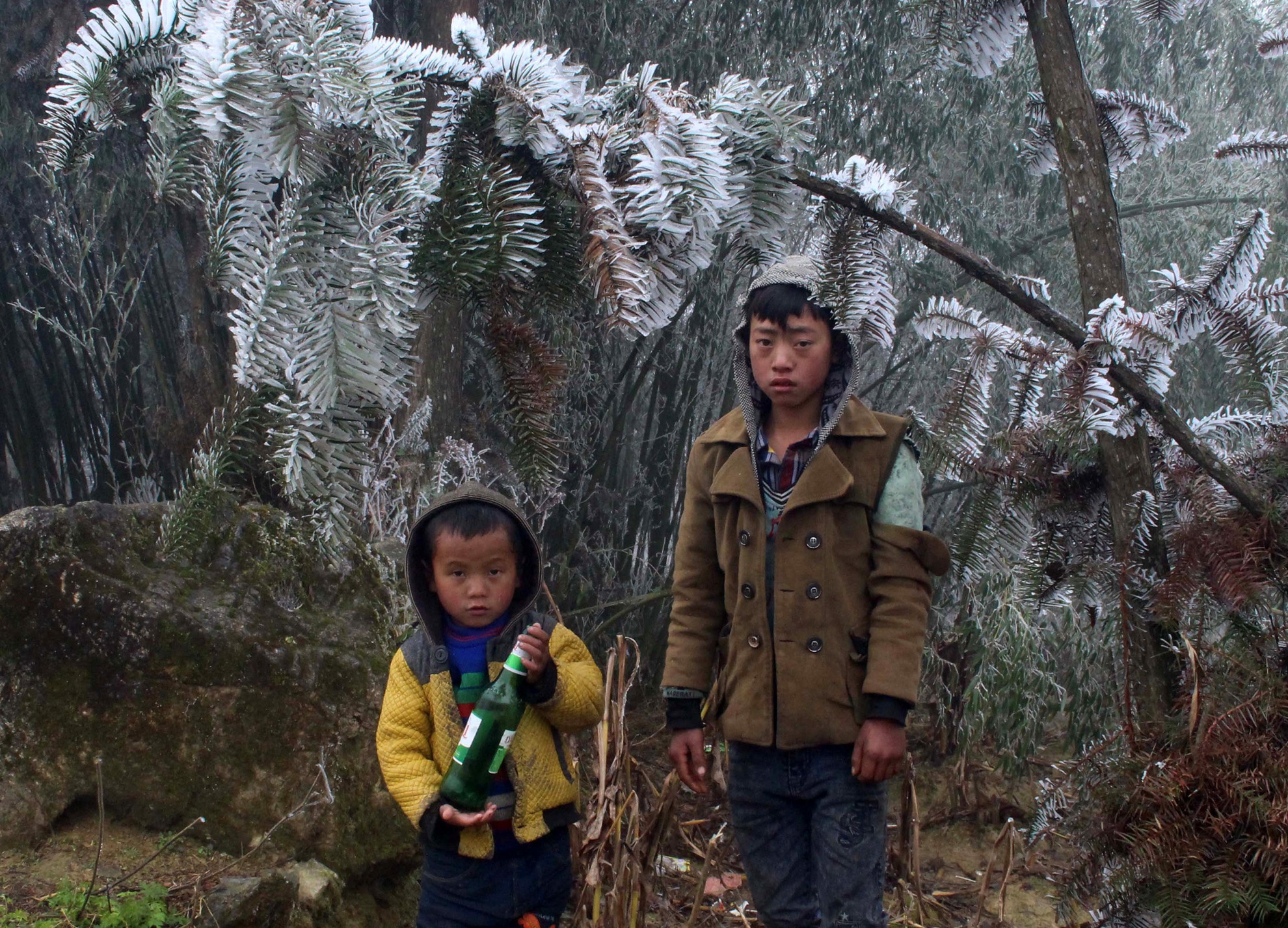 Meo Vac chim trong bang gia, ret duoi -3 do C hinh anh