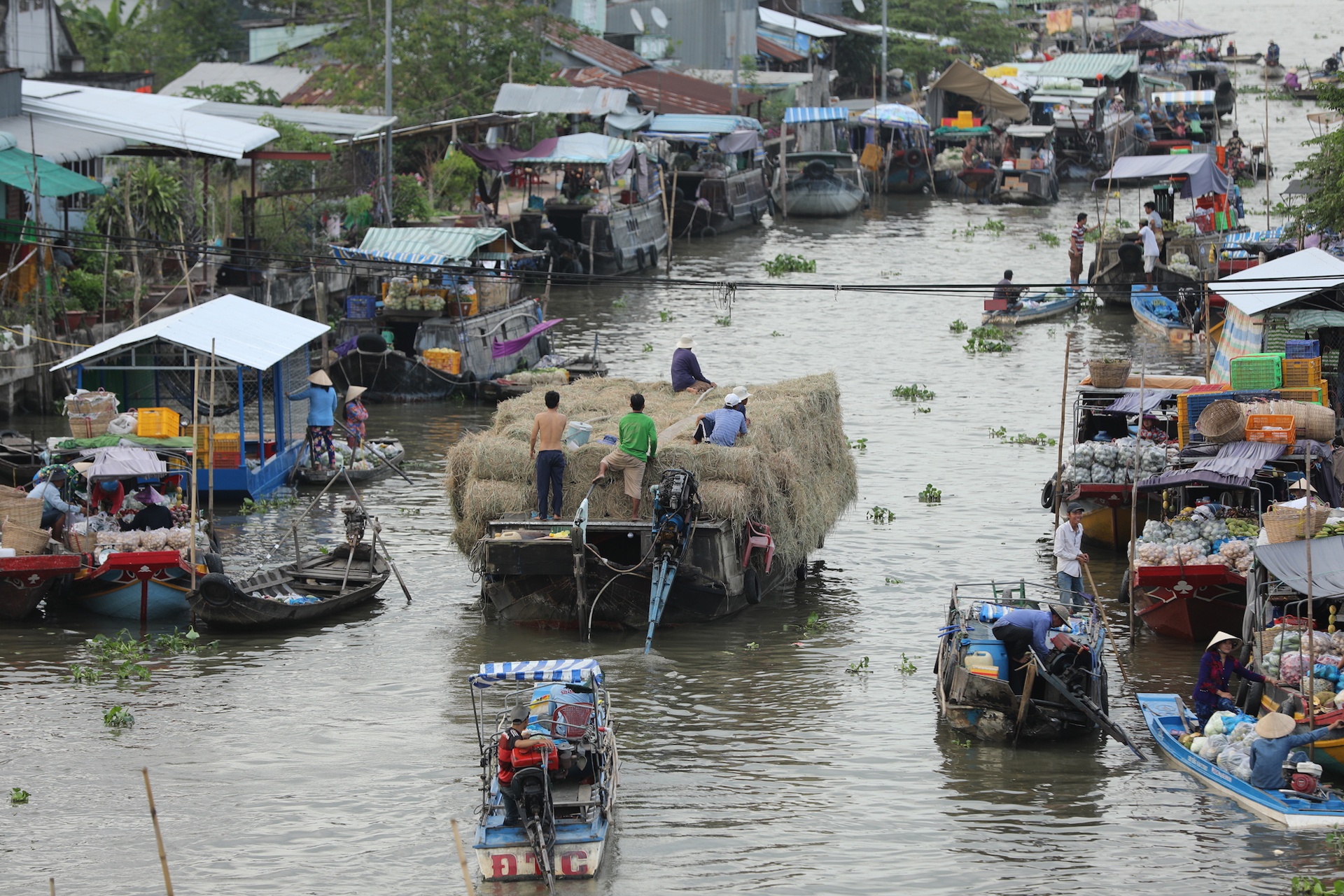 Phat trien dong bang song Cuu Long anh 6