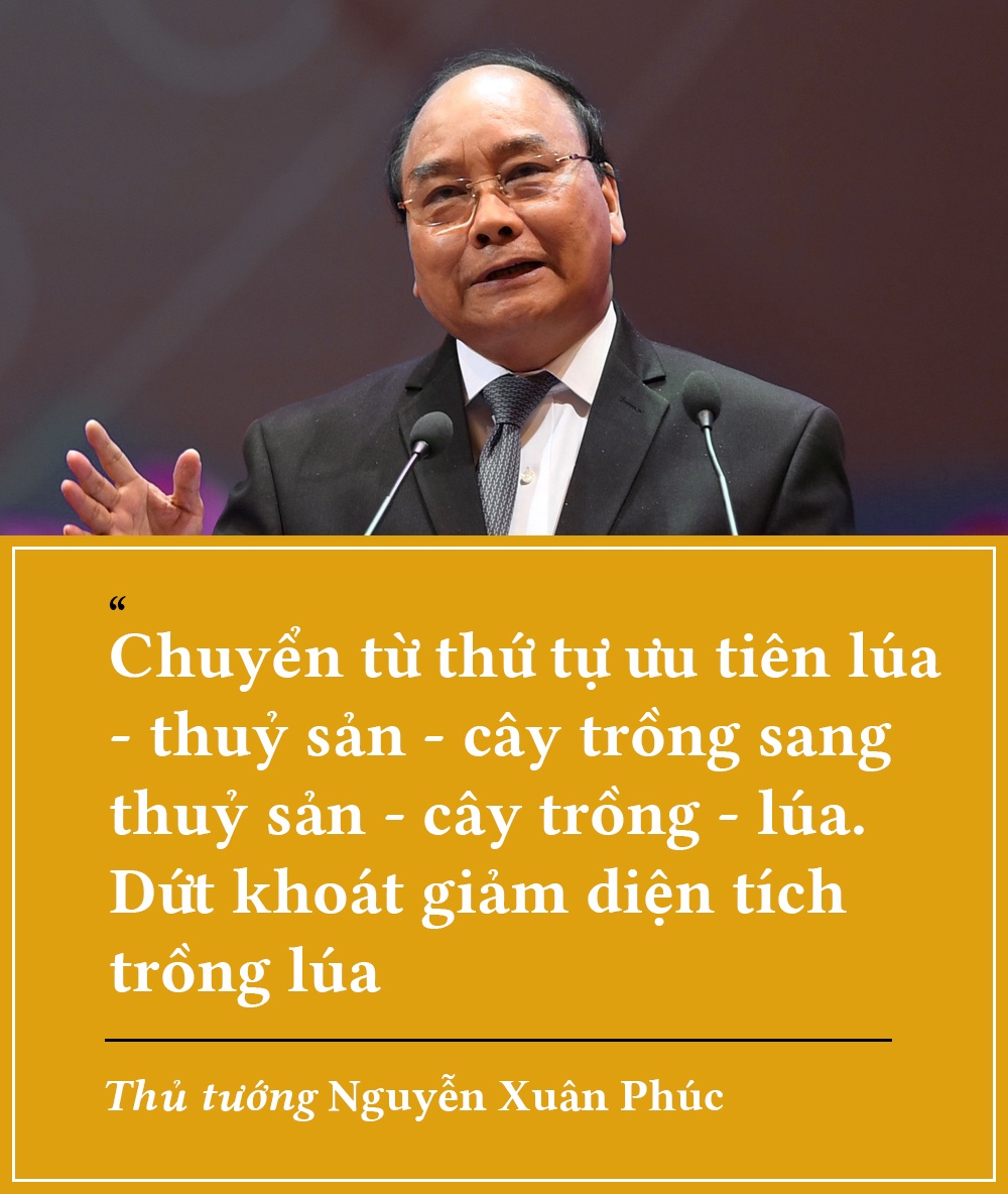 Phat trien dong bang song Cuu Long anh 12