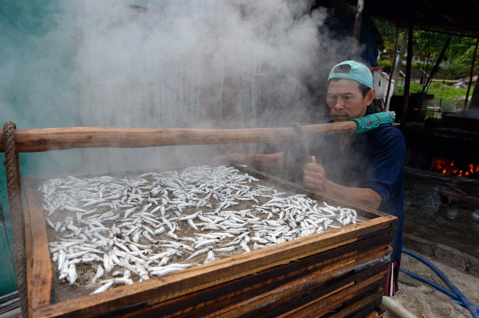 Phat trien dong bang song Cuu Long anh 7