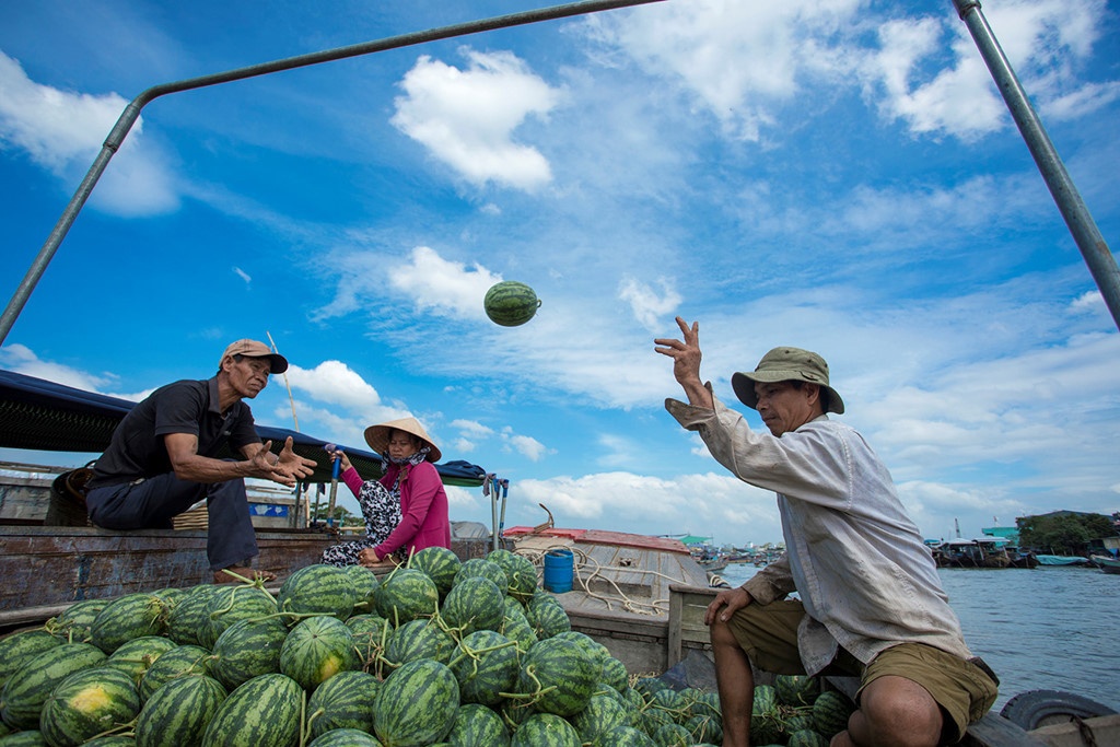 Phat trien dong bang song Cuu Long anh 5