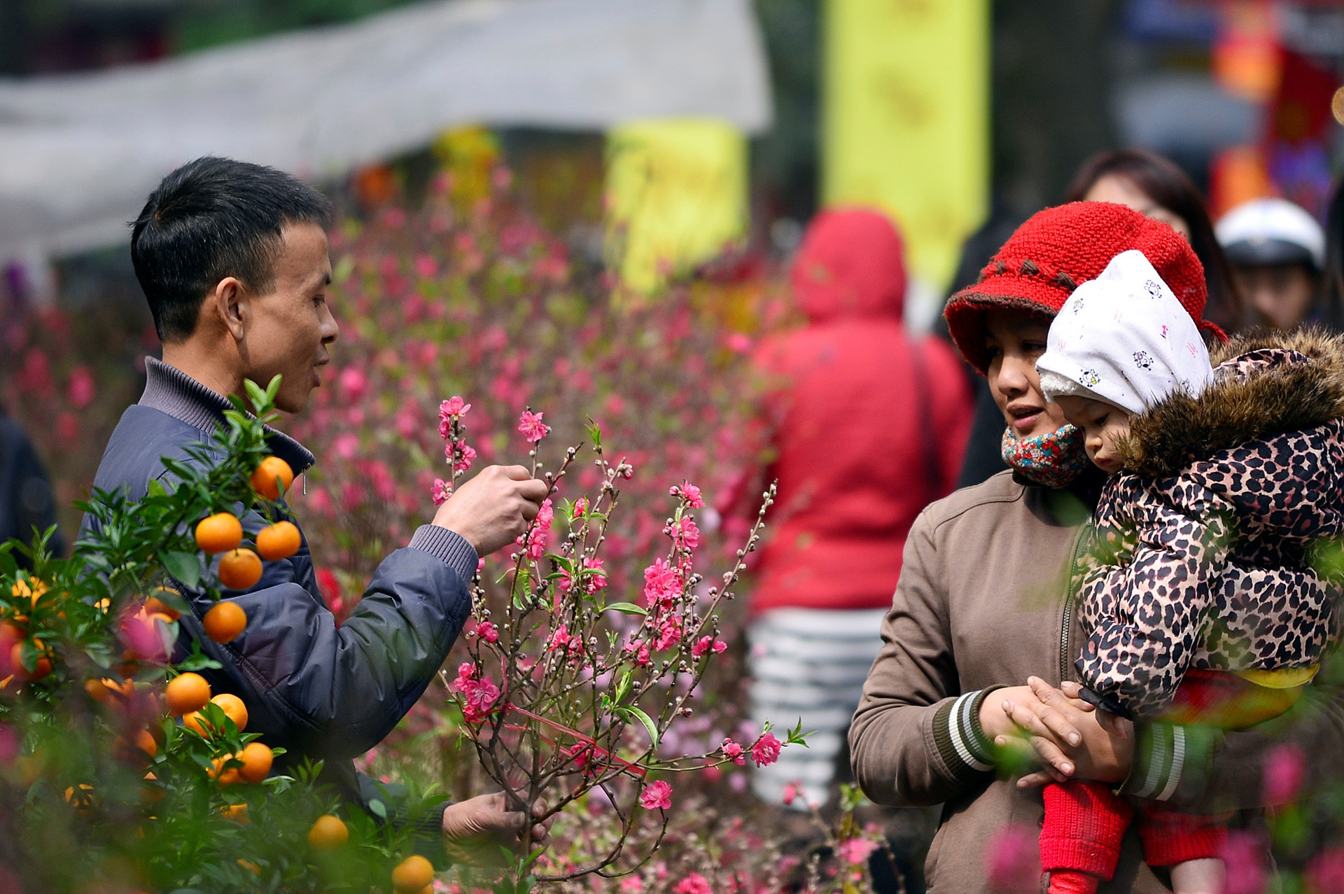 Thoi tiet dip Tet nguyen dan anh 1