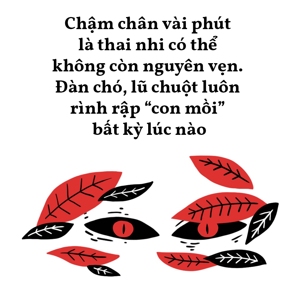 nạn phá thai ở Việt Nam  ảnh 6 nan pha thai o Viet Nam anh 6