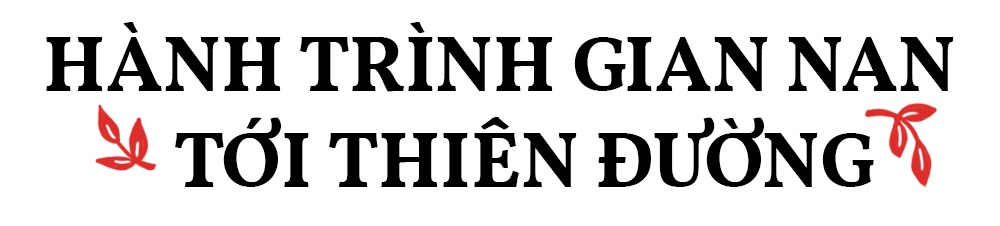nạn phá thai ở Việt Nam  ảnh 7 nan pha thai o Viet Nam anh 7