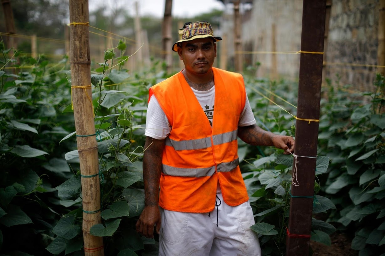 Đường hoàn lương ảnh 9 Duong hoan luong anh 9