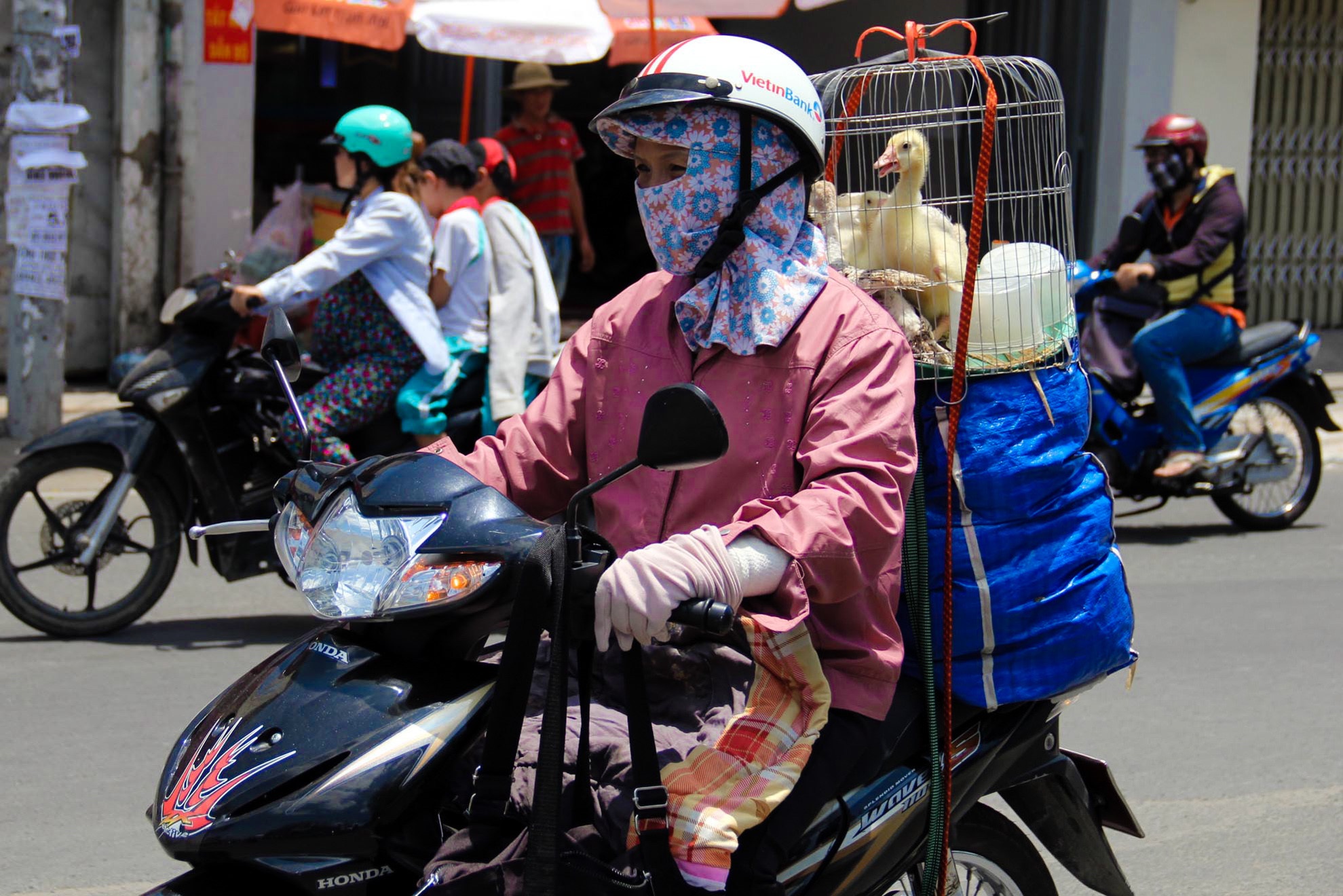 Mien bac mua dong anh 1