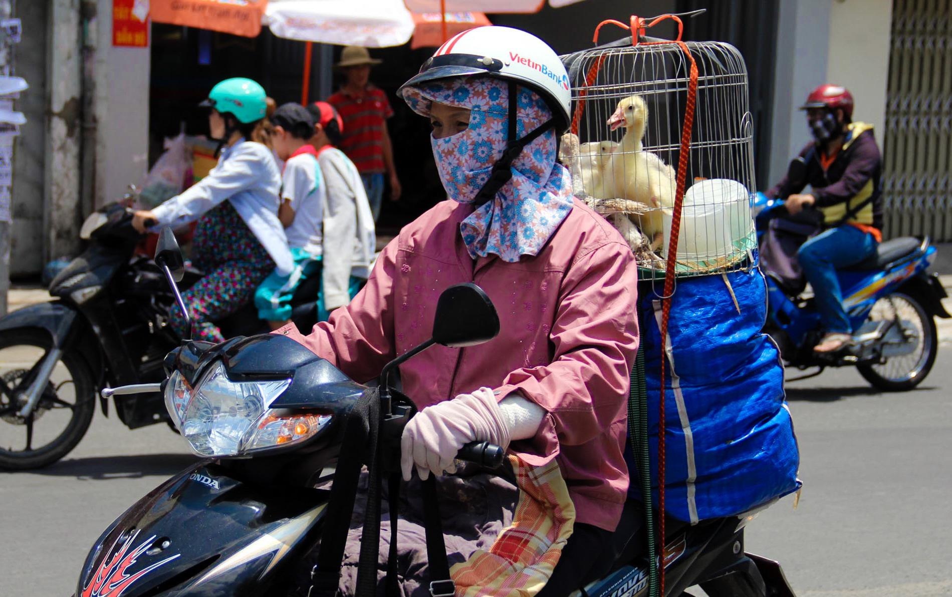 Mien Bac mua dong dien rong, Nam Bo nang nong tro lai sau dip le hinh anh